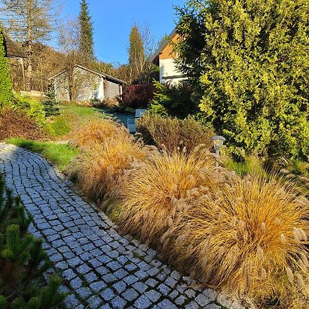 Beskid Ski Villa Вісла Екстер'єр фото