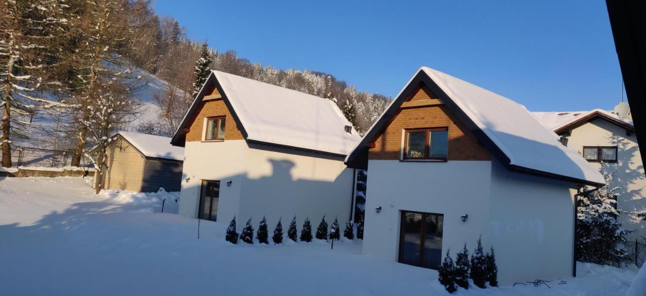 Beskid Ski Villa Вісла Екстер'єр фото