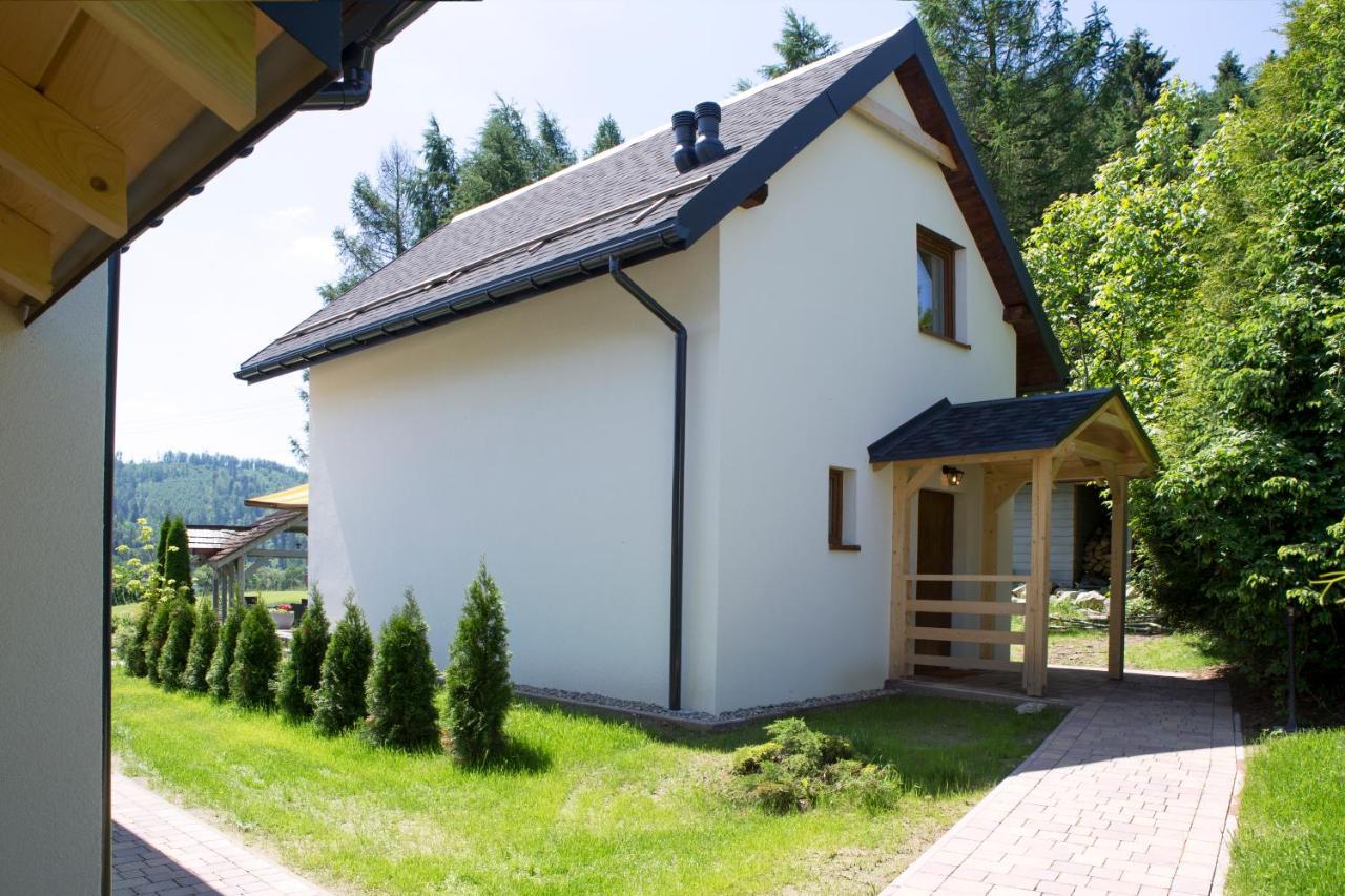 Beskid Ski Villa Вісла Екстер'єр фото