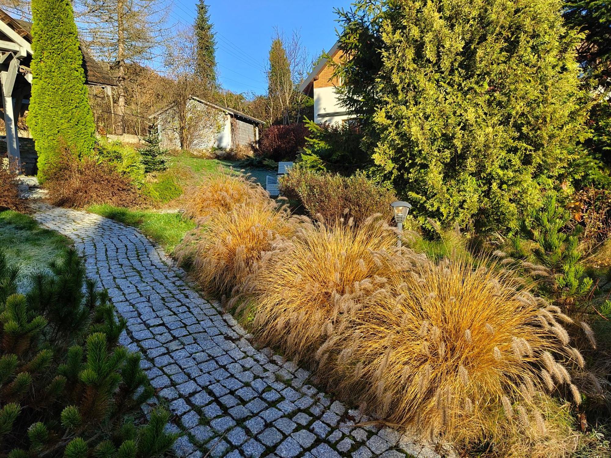 Beskid Ski Villa Вісла Екстер'єр фото