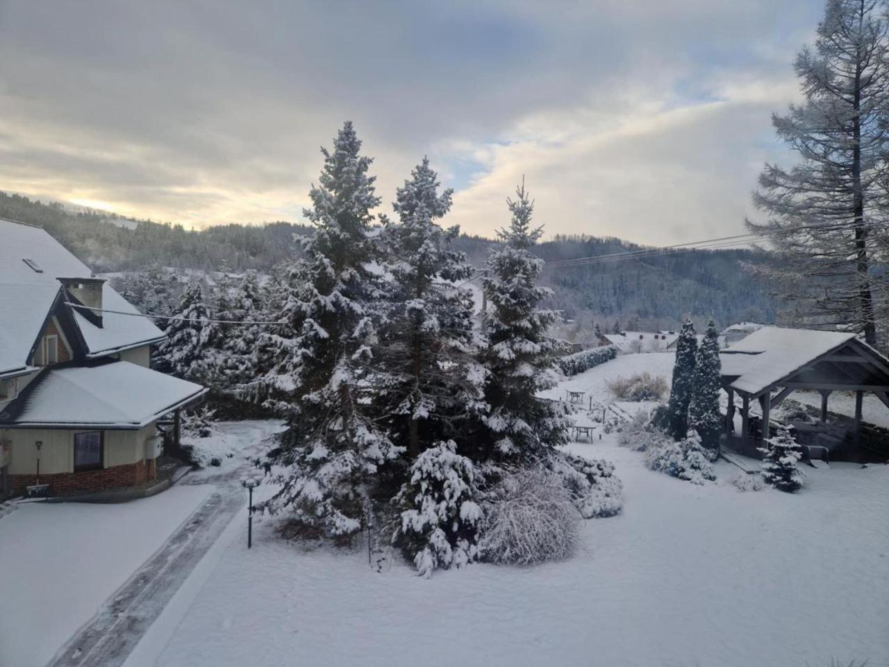 Beskid Ski Villa Вісла Екстер'єр фото