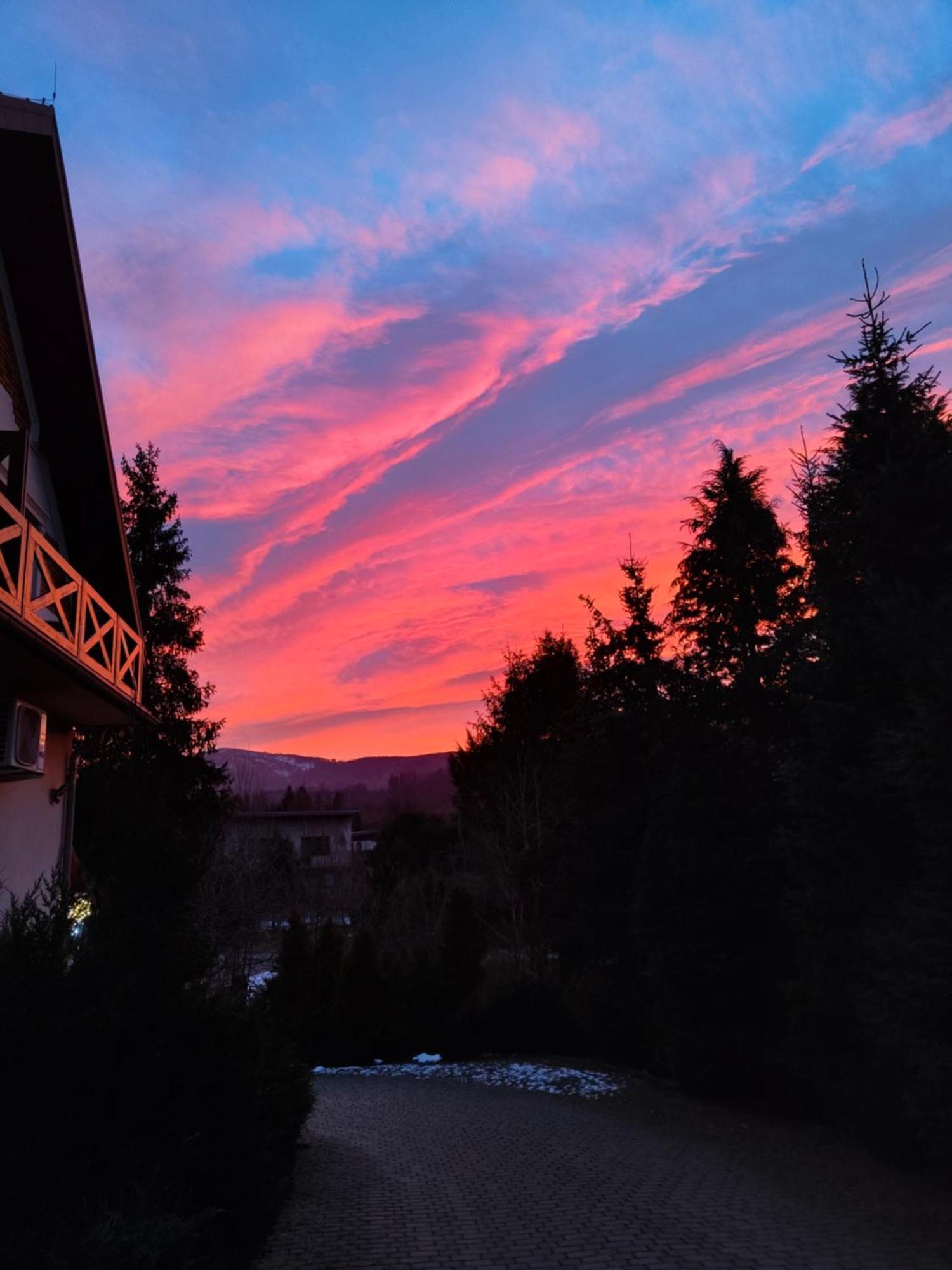 Beskid Ski Villa Вісла Екстер'єр фото