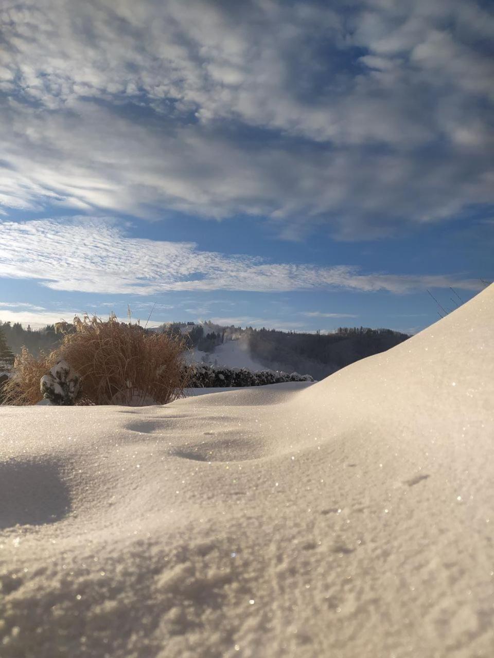 Beskid Ski Villa Вісла Екстер'єр фото